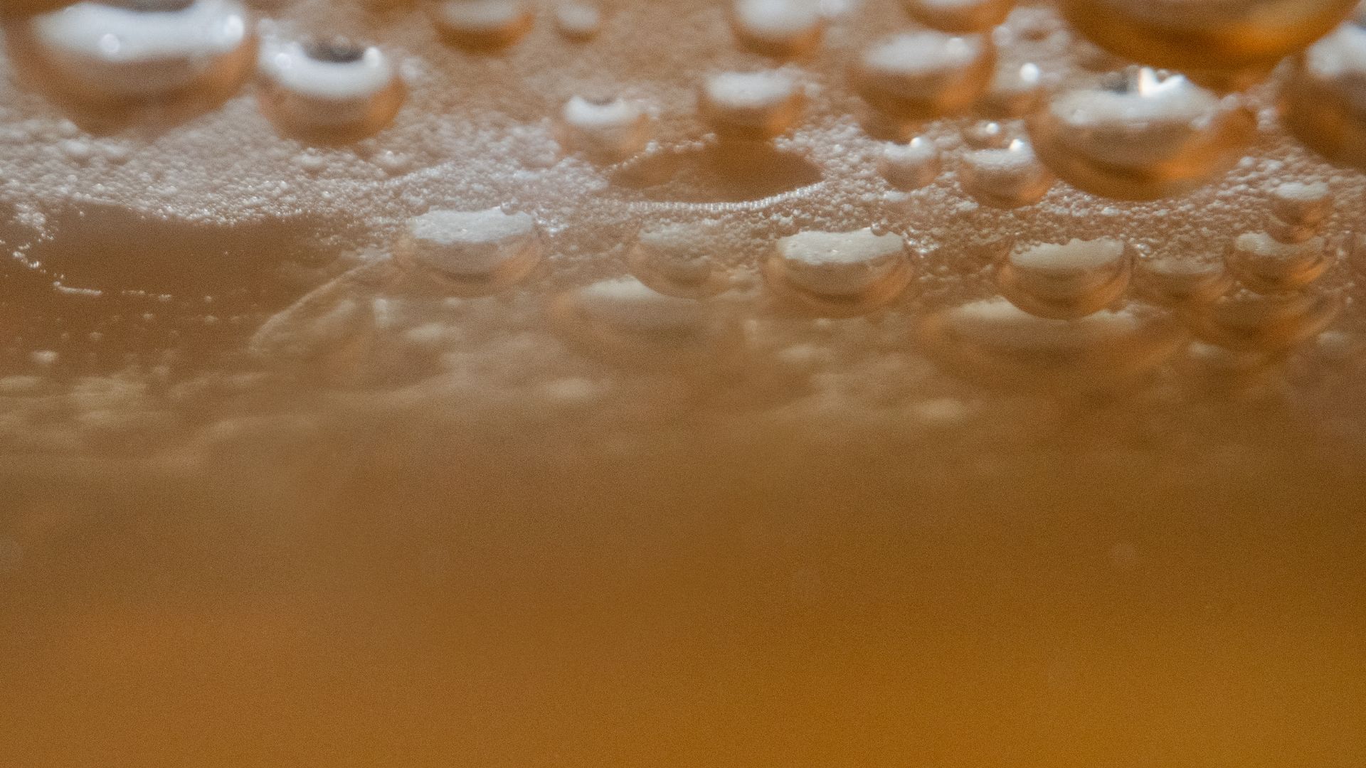fermentation technology yflavour